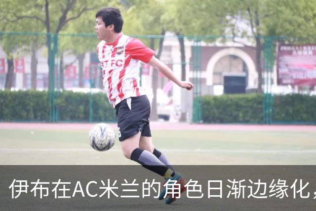 伊布在AC米兰的角色日渐边缘化，卡迪纳莱趋向自主决策